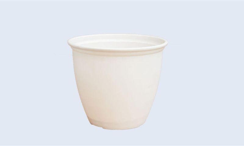 Bí mật ẩn sâu trong giấc mơ thấy cái chậu Bí mật ẩn sâu trong giấc mơ thấy cái chậu