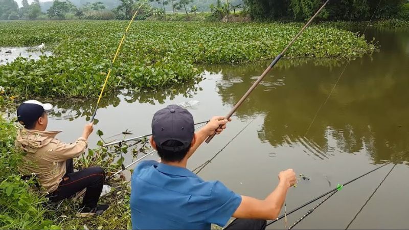Đánh số mấy khi mơ thấy ăn trộm cá? Đánh số mấy khi mơ thấy ăn trộm cá?