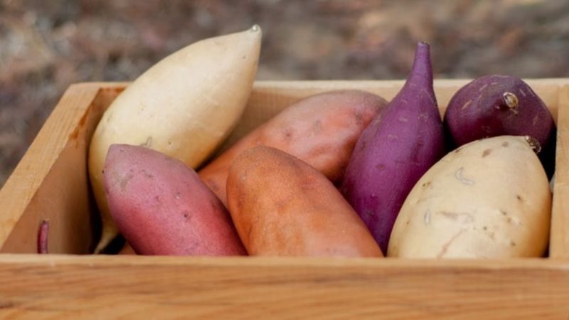 Ý nghĩa về giấc chiêm bao thấy ăn khoai Ý nghĩa về giấc chiêm bao thấy ăn khoai