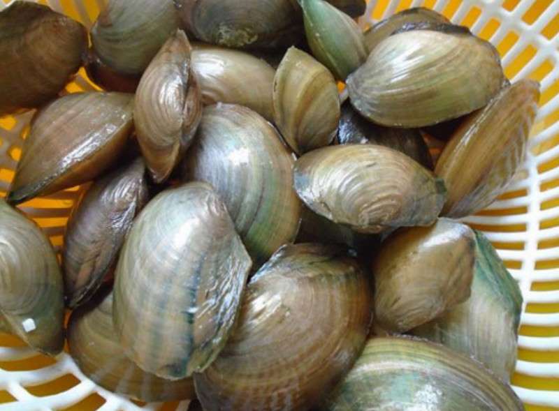 Mơ Thấy Con Chai Nên Đánh Số Nào Mang Lại May Mắn Mơ Thấy Con Chai Nên Đánh Số Nào Mang Lại May Mắn