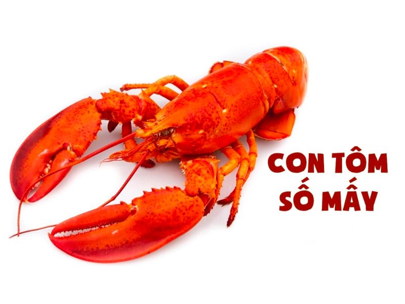 Mơ thấy con tôm có điềm gì không và đánh đề số mấy? Mơ thấy con tôm có điềm gì không và đánh đề số mấy?